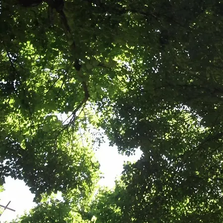 La Terrazza Sul Viale Panzió Circello