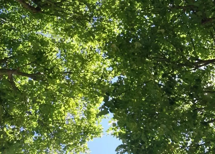 Bed and breakfast La Terrazza Sul Viale Circello